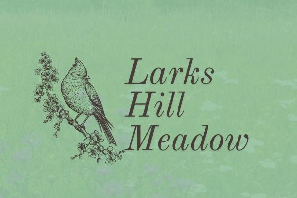 Larks Hill Meadow